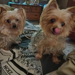 Meet your Posher, Grover